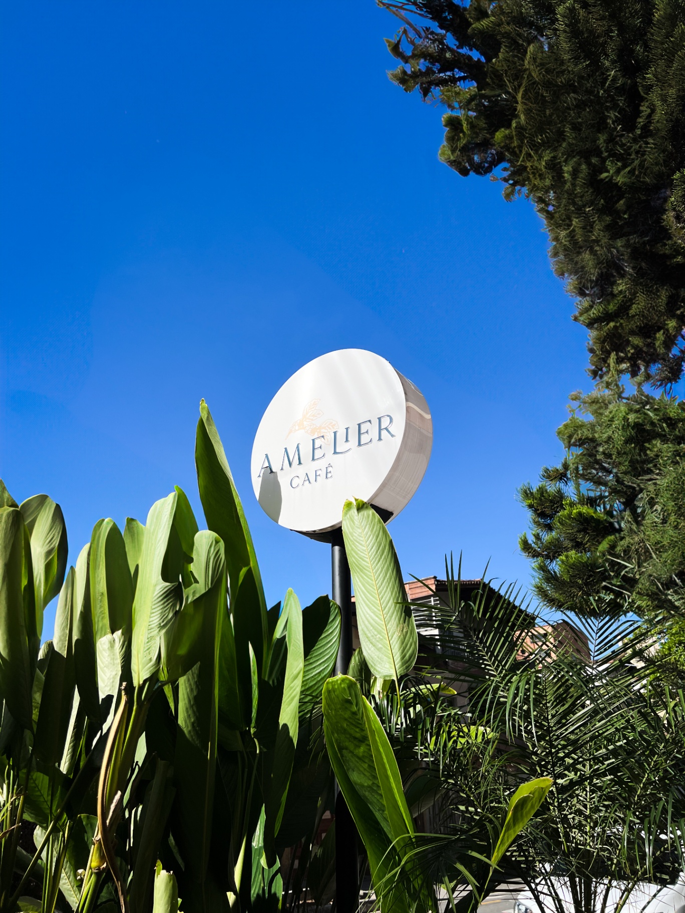 Letrero exterior Amelier Café entre plantas